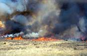 Fire Logistics, Inc.